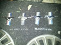 stang2.jpg