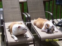 Dot and Gracie '08.jpg