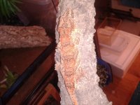 2011-12-22 18.43.13.jpg