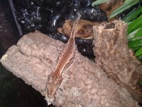2011-12-22 18.43.30.jpg