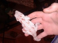 2011-12-22 11.40.45.jpg