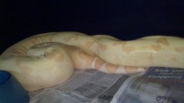 2011-12-24_19-02-28_508.jpg