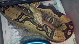2011-12-24_19-01-44_700.jpg