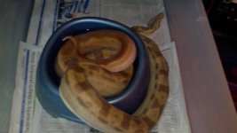 2011-12-24_19-01-11_140.jpg