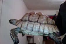 Photo on 11-4-11 at 6.55 AM.jpg