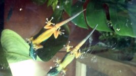 2011-10-02_15-13-40_730.jpg