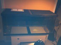 2011-11-20_13-37-11_299.jpg