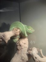 green.jpg
