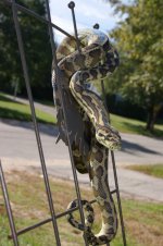 DSC07189.jpg