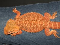 IMG_5576.JPG