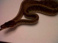 Murfreesboro-20111023-00061.jpg