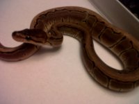 Murfreesboro-20111023-00062.jpg