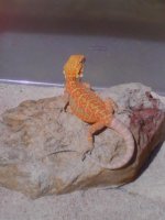 IMG_20120301_104926.jpg
