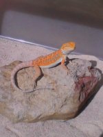 IMG_20120301_105024.jpg