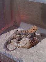 IMG_20120301_105222.jpg