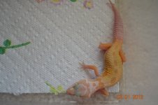 DSC_0042.jpg