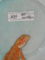 baby for sale 2012..001 019.jpg