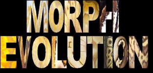 MORPH.jpg