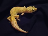 DSC00740.jpg