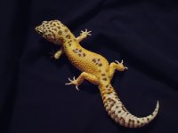 DSC00747.jpg