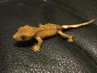 IMG_0283.jpg