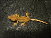 IMG_0284.jpg