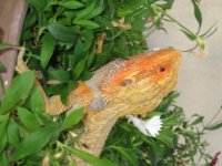 IMG_0427.jpg