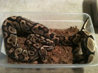 photo(8).jpg