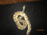IMG_0222.jpg
