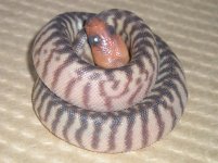 babywoma2.JPG
