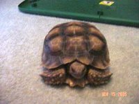 DSC00661.v2.jpg