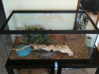 IMG_0741.jpg