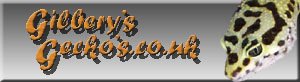 banner1.jpg
