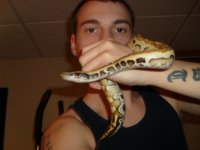 reptiles 109.jpg