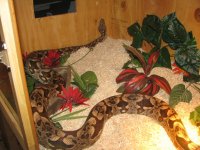 IMG_2129.jpg