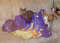 keepingwarm.jpg