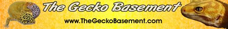 geckobasement1.jpg