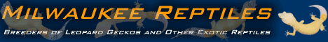 banner.gif