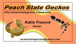 PeachState3small.jpg
