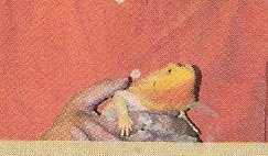 scan0001.jpg