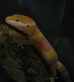 IMG_1214.JPG