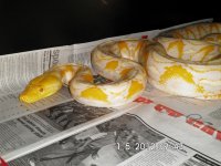004.jpg