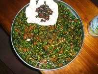 mixed cetoniidae beetles (mixed lot).JPG