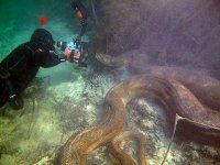 divingwithanacondas-1.jpg