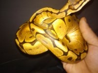 2011-11-06 11.05.29.jpg