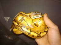 2011-11-06 11.05.41.jpg