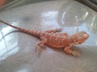 2012-03-15 16.51.09.jpg
