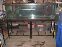 aquarium 125 gal 001.jpg