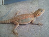 2012-03-21 15.02.02.jpg