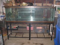 aquarium 125 gal 002.jpg